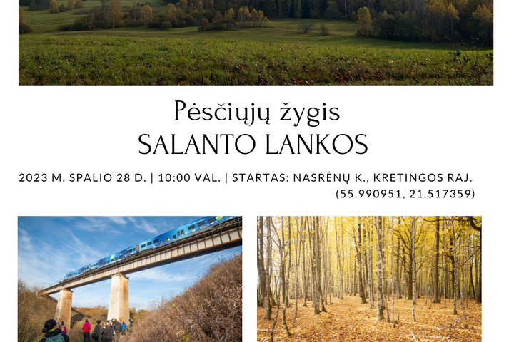 pėsčiųjų žygis