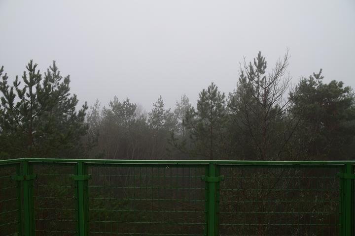 Vaizdas nuo Aukštagirės apžvalgos bokšto
