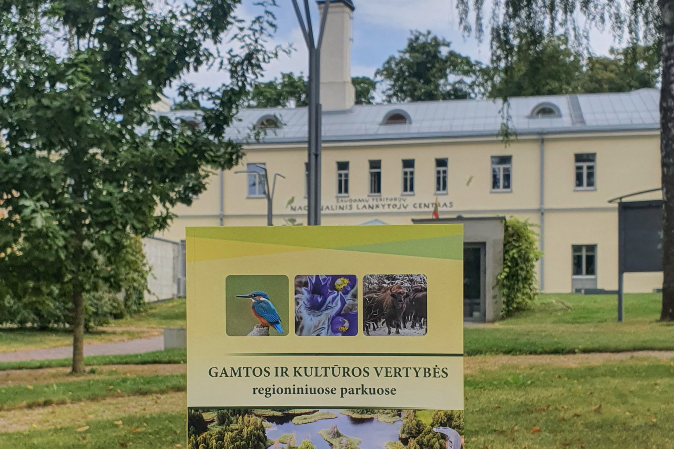 Iliustracija