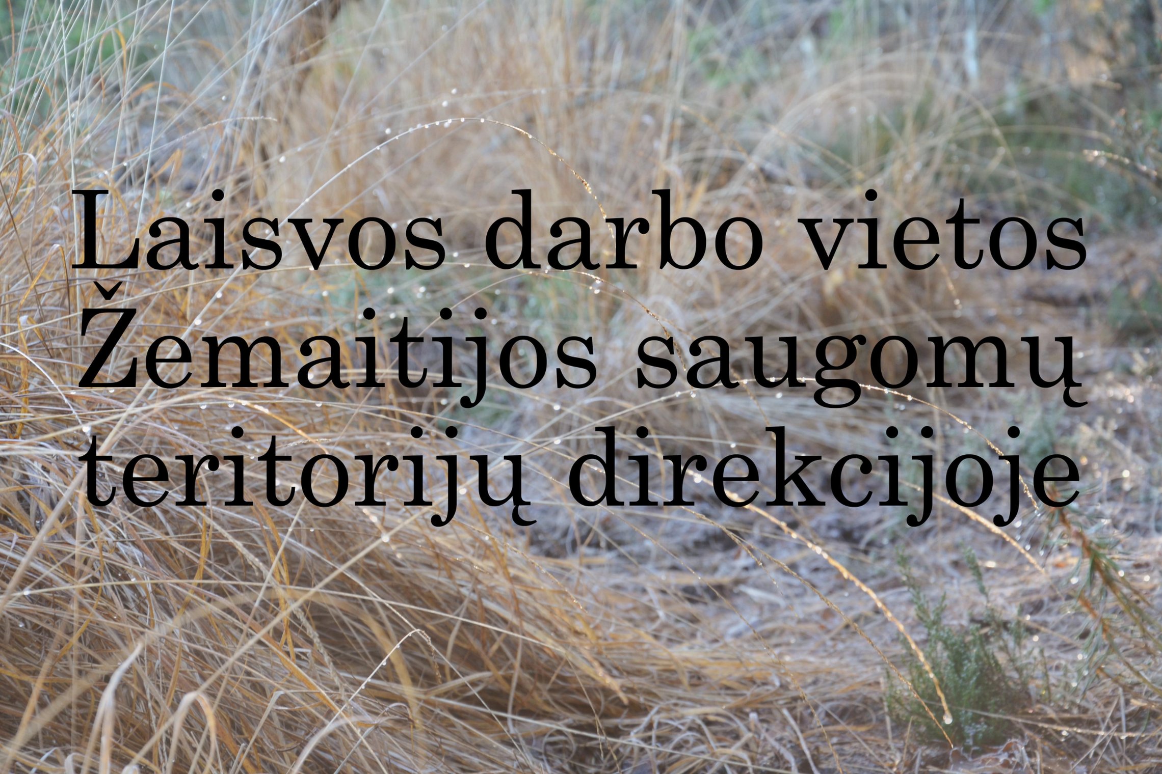 Iliustracija