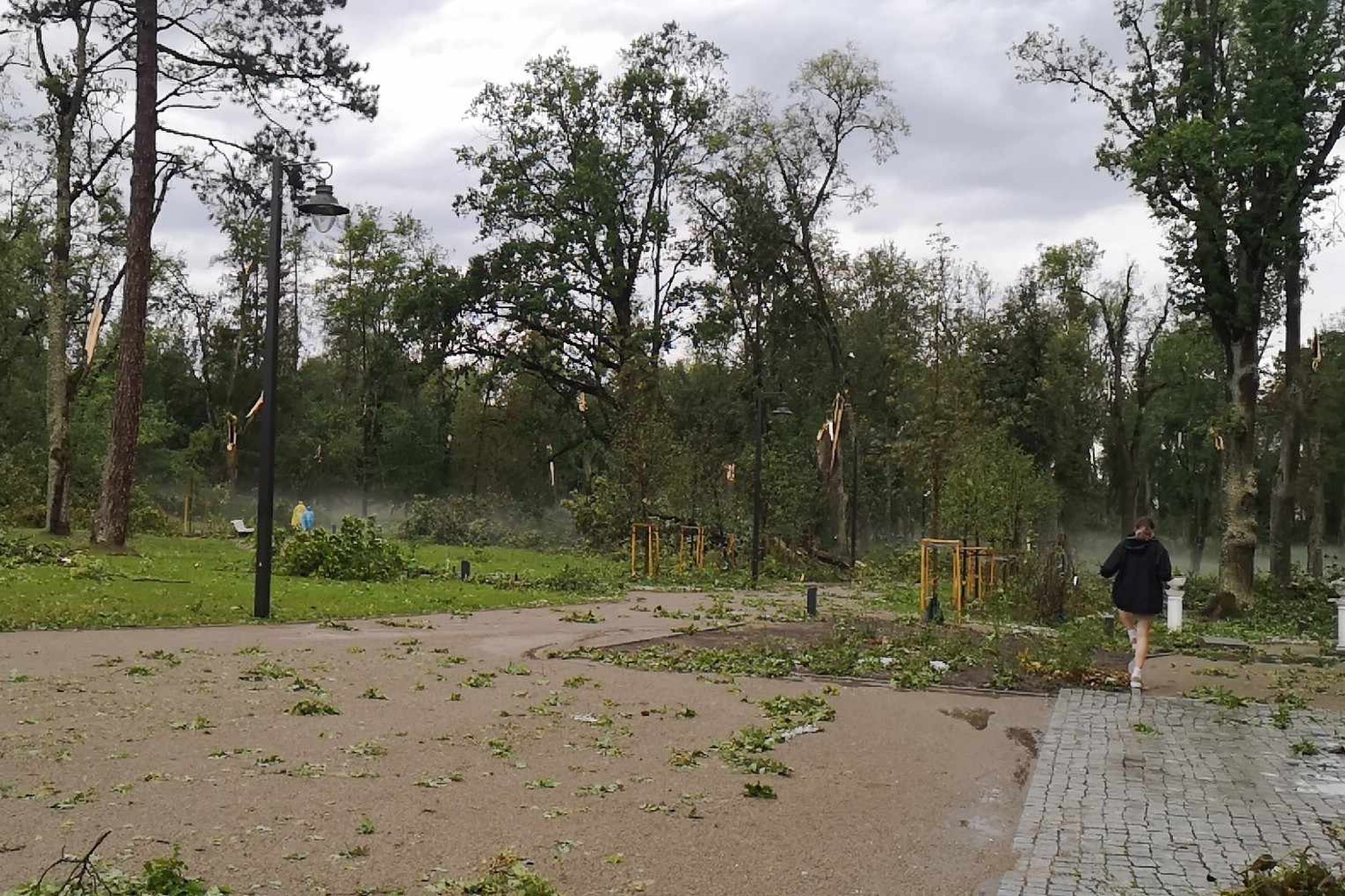 Iliustracija