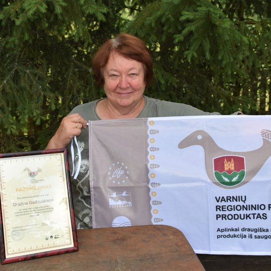 Iliustracija