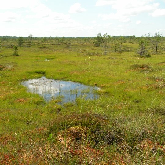 Iliustracija