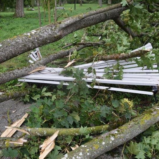 Iliustracija