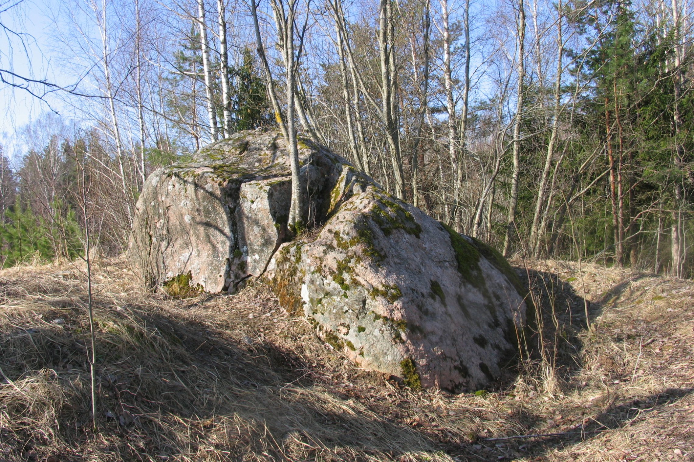 Iliustracija
