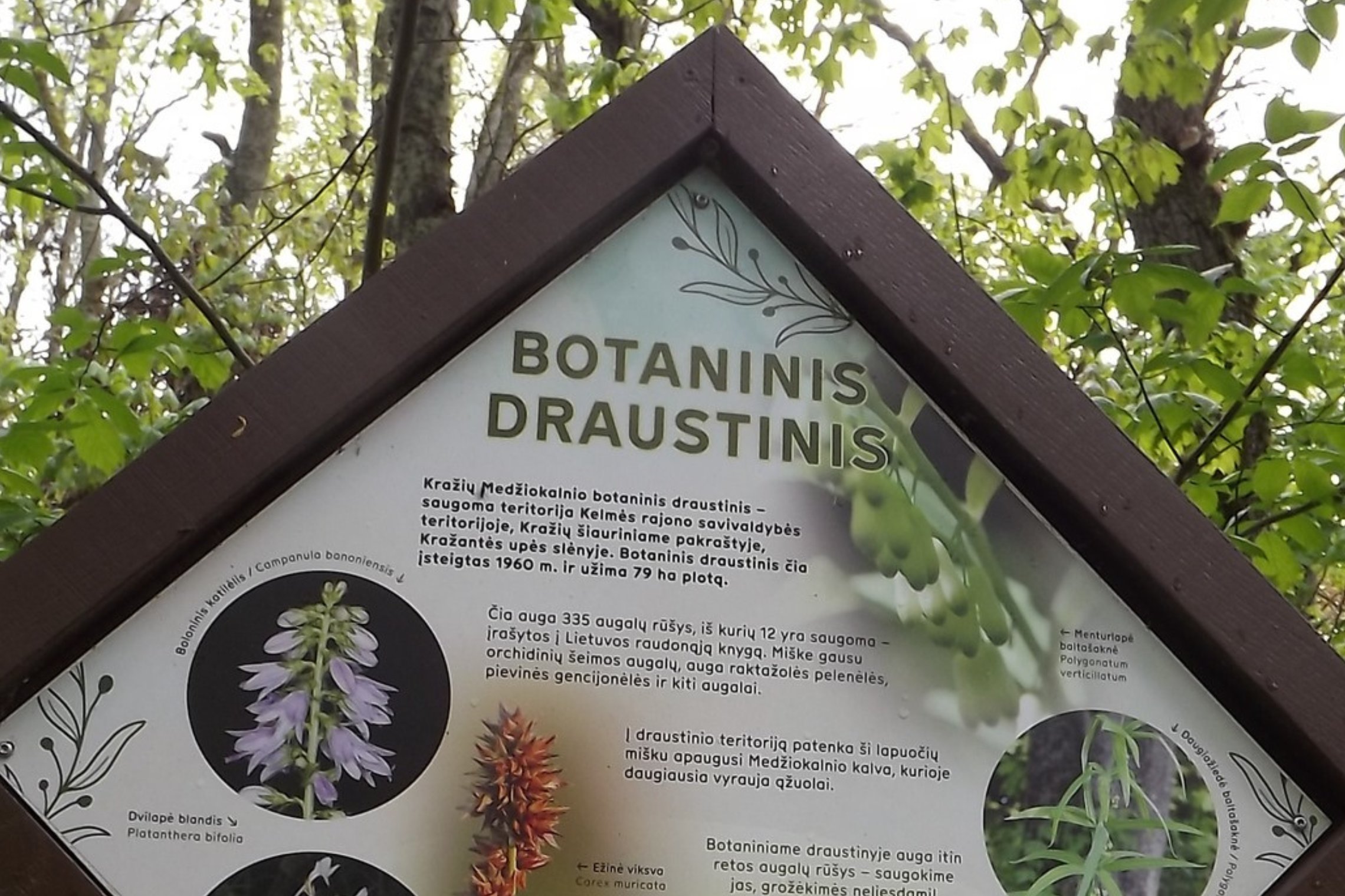 Iliustracija