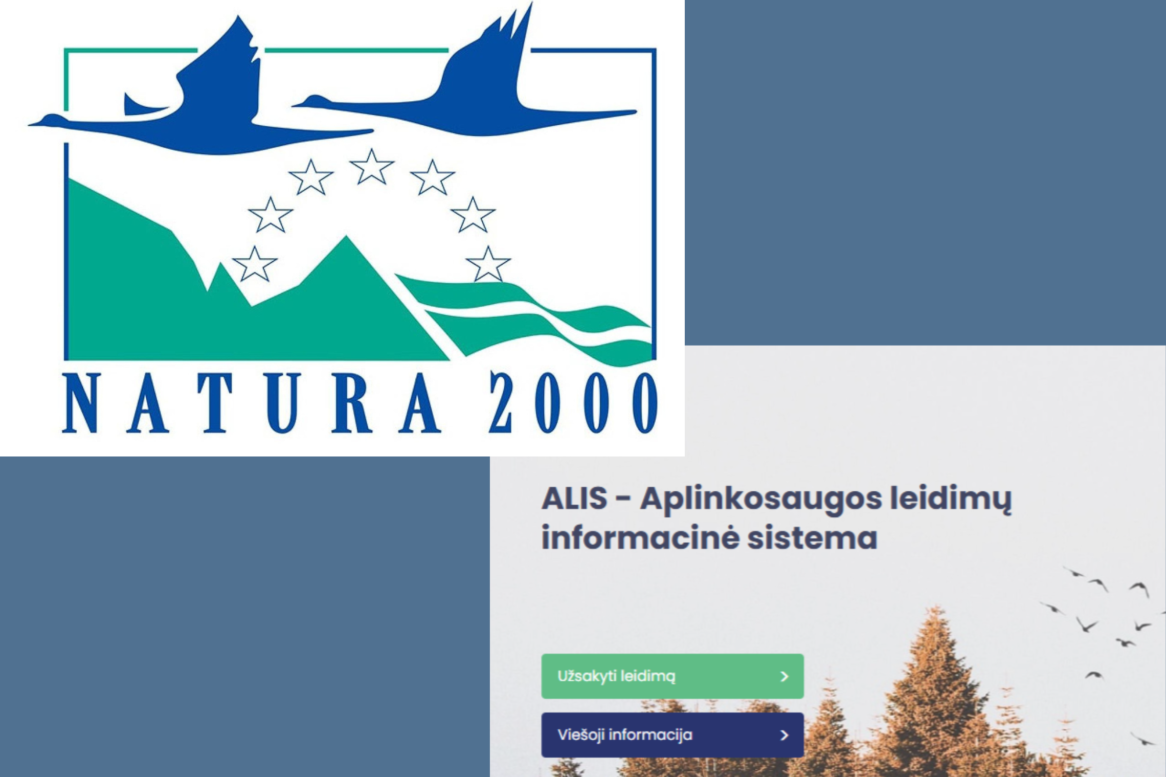 Iliustracija