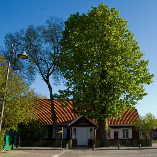 Iliustracija