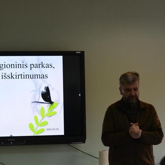 Iliustracija
