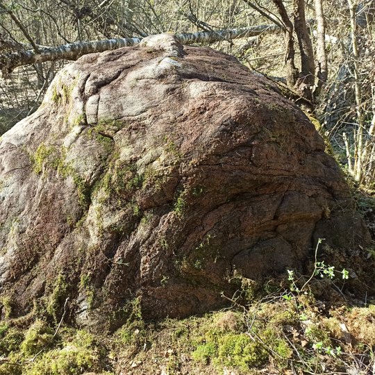 Iliustracija