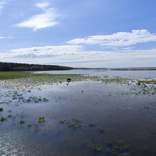 Iliustracija