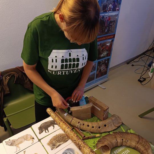 Iliustracija