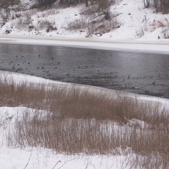 Iliustracija
