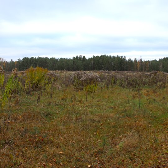 Iliustracija