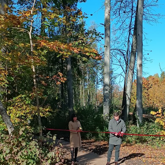 Iliustracija