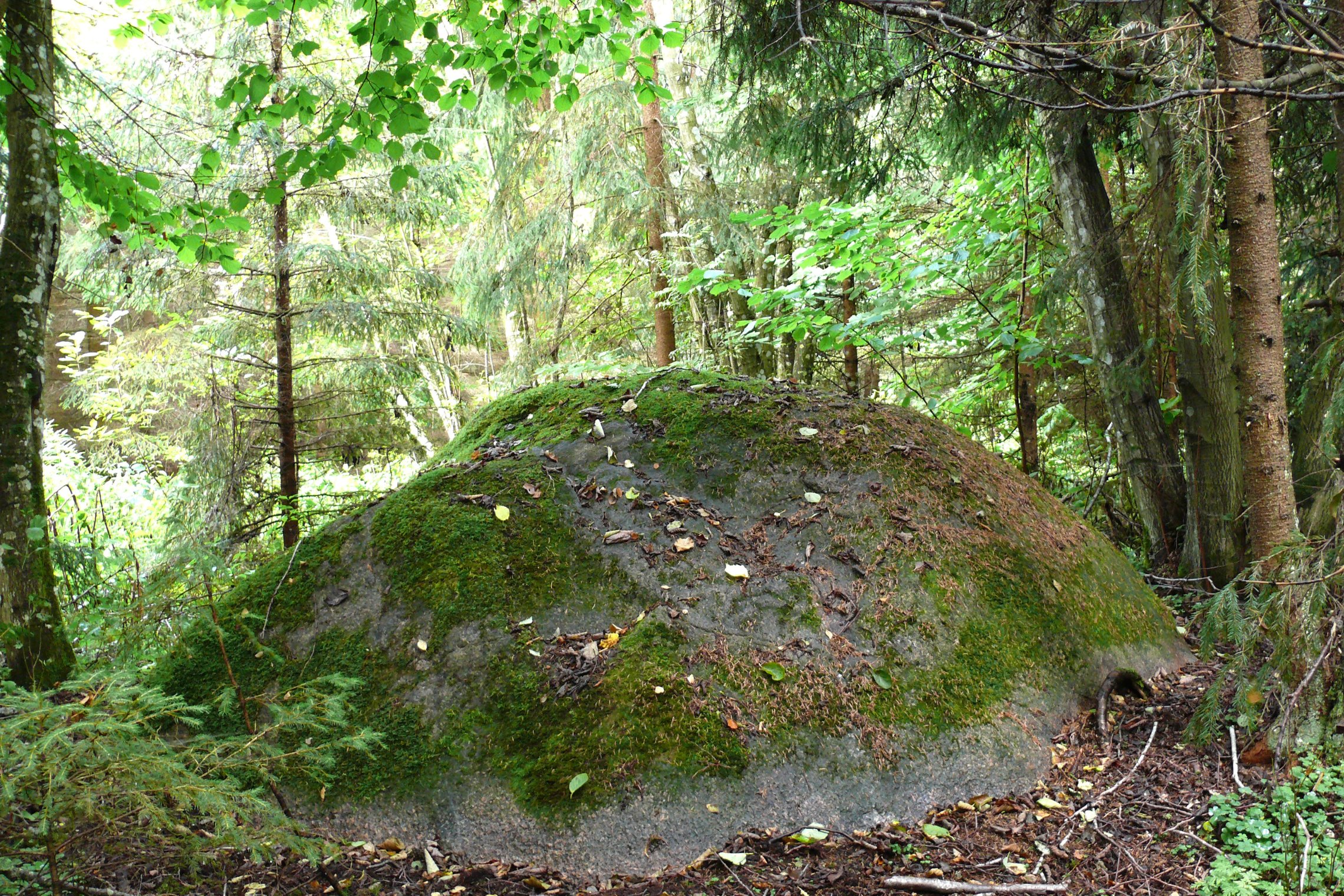 Iliustracija