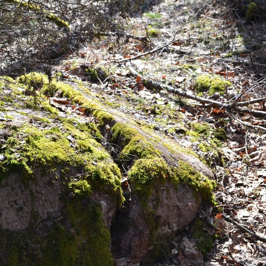 Iliustracija