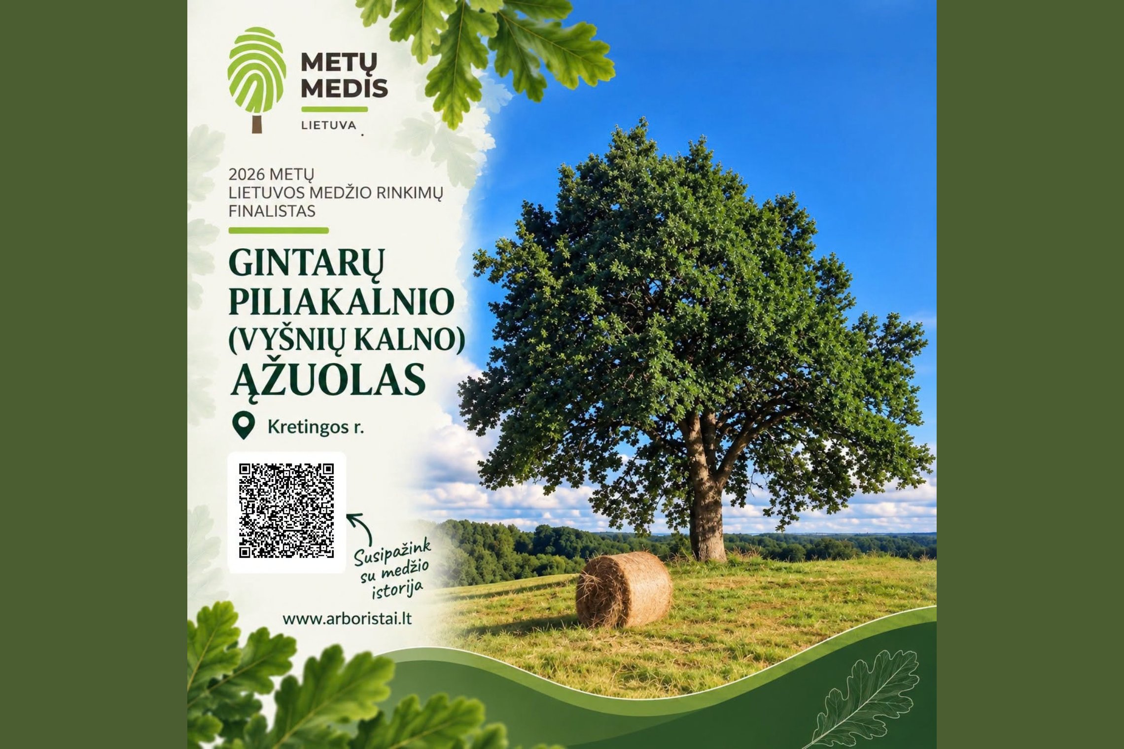 Iliustracija