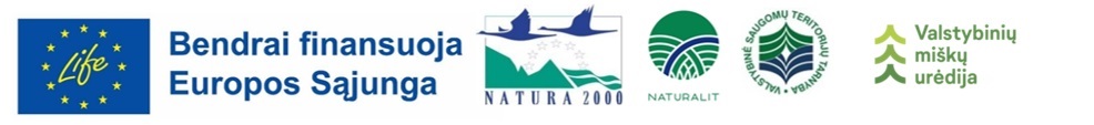 logo ES ir VMU.jpg